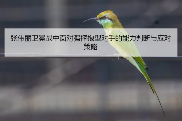 张伟丽卫冕战中面对强摔抱型对手的能力判断与应对策略